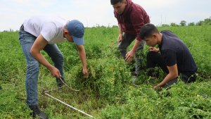 News 20240604 Luzerne