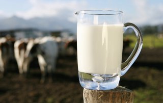 Was sagt der Keimgehalt in der Milch? Häufige Ursachen hoher Keimgehalte Was sagt der Keimgehalt in der Milch? Häufige Ursachen hoher Keimgehalte