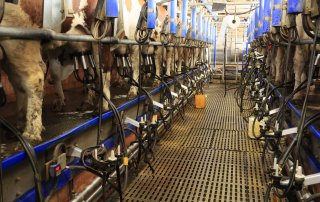 Regelmäßige Überprüfung der Melkanlage Regelmäßige Überprüfung der Melkanlage